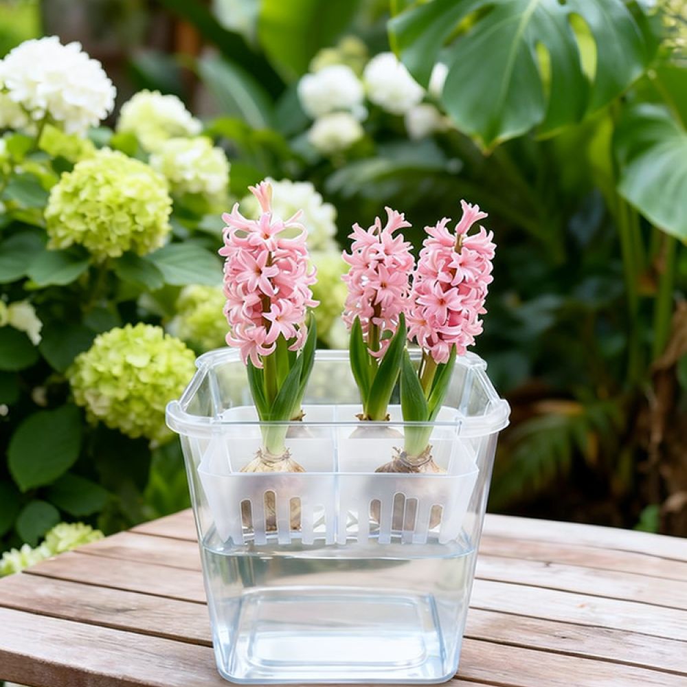 Hydroponic Vase For Tulip Lily - Vase Decor 评论和价格