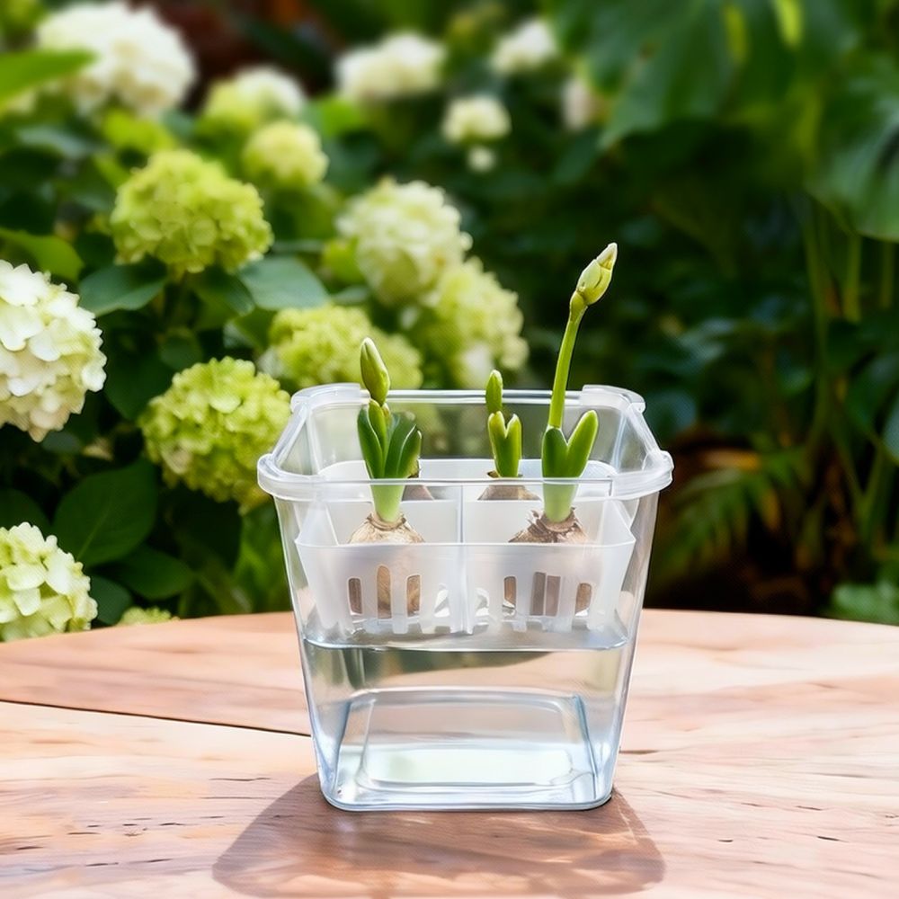 Hydroponic Vase For Tulip Lily - Vase Decor 评论和价格