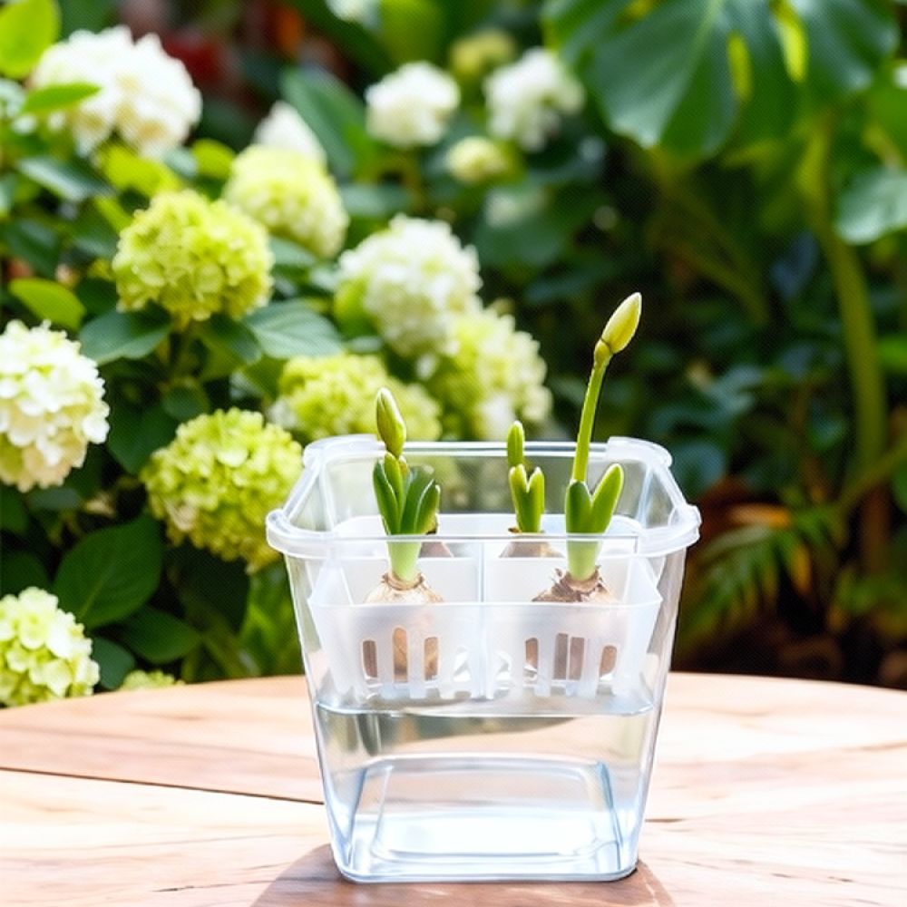 Hydroponic Vase For Tulip Lily - Vase Decor 评论和价格