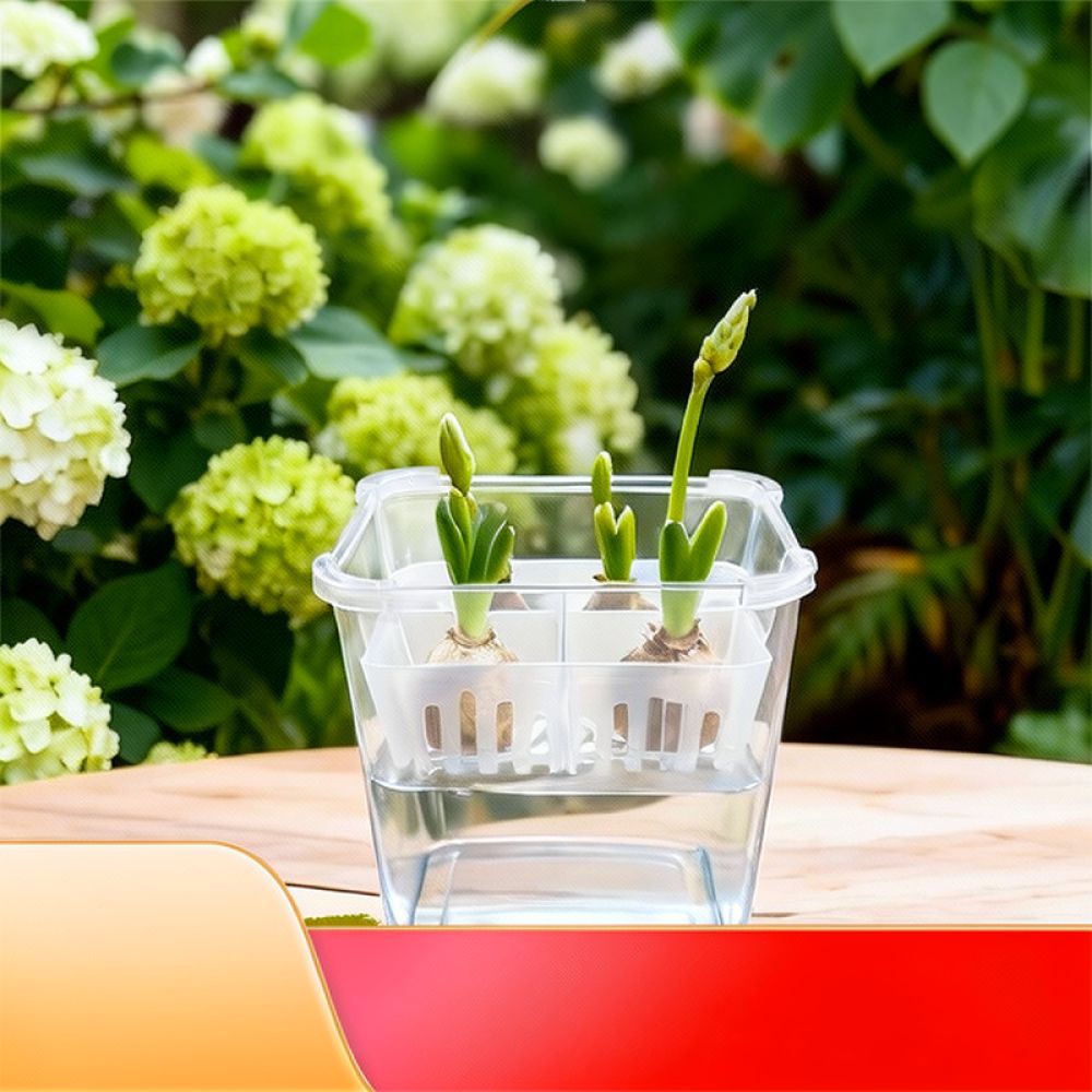 Hydroponic Vase For Tulip Lily - Vase Decor 评论和价格