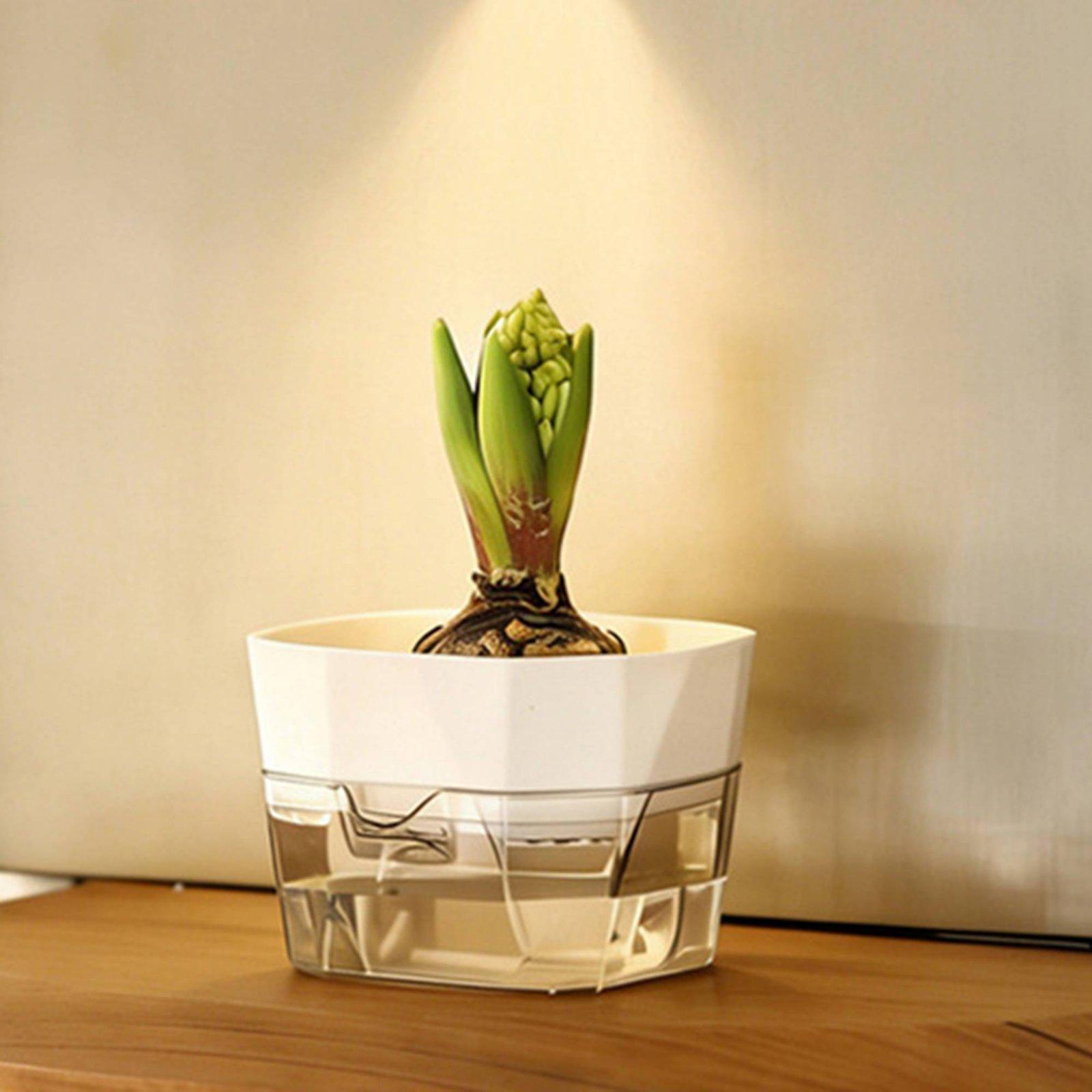 Hydroponic Vase Two Layer Self - Vase Decor 评论和价格